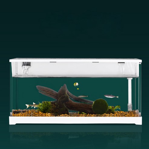 생명이 숨 쉬는 작은 우주, YANGTA 아크릴 자동순환 어항으로 당신의 공간에 활력을 불어넣으세요 해수어항