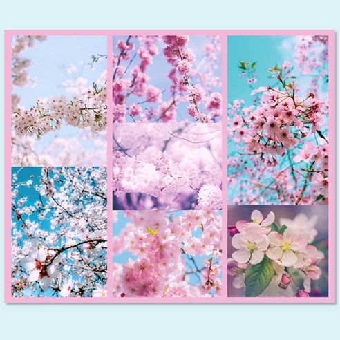 디자인달 [1000원 스티커 세트]: 매력적인 다이어리 꾸미기 필수품