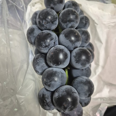 국내산 충랑포도, 3개, 2kg(특상)