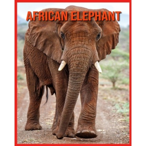 African Elephant: Super Fun Facts And Amazing Pictures Paperback, Independently Published, English, 9798705947041
