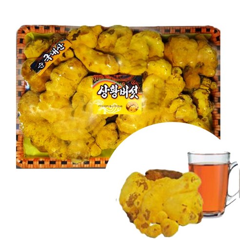 동의한약나라 국내산 상황버섯 A급 500g
