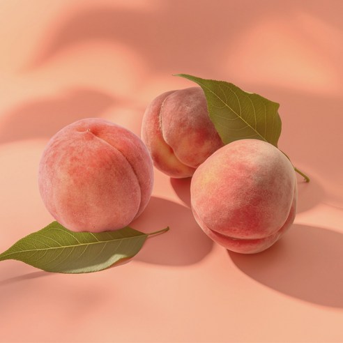 달님식품 산지직송 황도 복숭아 peach, 1개, 황도 복숭아 2kg (12-13과)