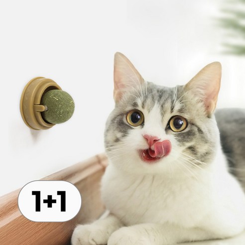 1+1 세트 롤링 고양이 캣닢 사탕 캣닢볼 캣잎 캣닙 간식 장난감, 골드, 1세트