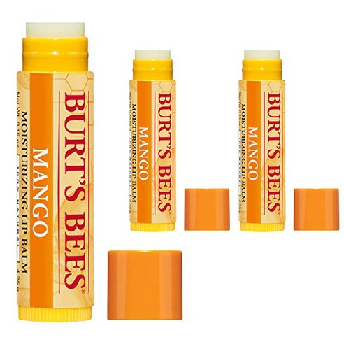 버츠비 내추럴 립밤, Nourishing Mango Butter, 3개, 4.25g