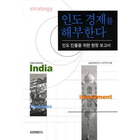 인도 경제를 해부한다:인도 진출을 위한 현장 보고서, 삼성경제연구소
