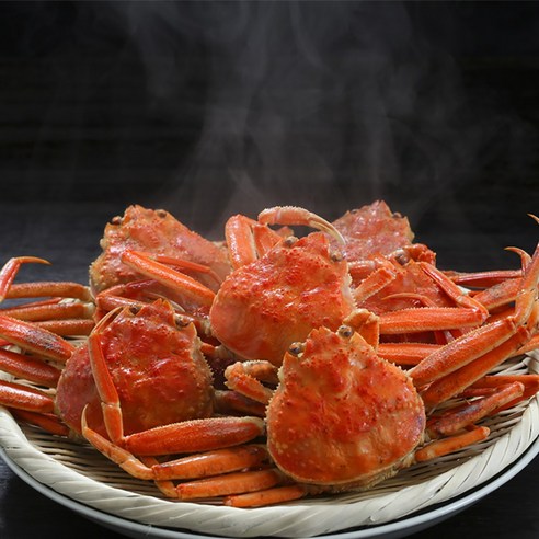 포항 구룡포 자숙 붉은대게 최고급 3kg, 3.5kg (몸통 80%, 다리 80%) 1마리 Best Top5