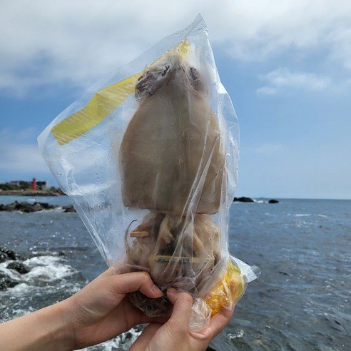 피데기 반건조오징어 10마리 800g 구룡포 오징어, 1개