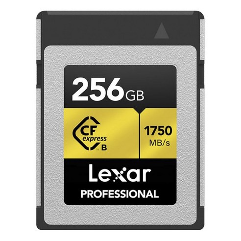 렉사 CF익스프레스 골드 타입B 메모리카드, 256GB