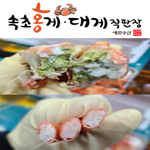 속초 지역에서 직송된 신선한 제철홍게를 저렴하게 즐기세요