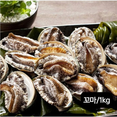 완도전복 완도 꼬마활전복 40-50미(미당 20g~25g / 1kg 산소포장), 1개