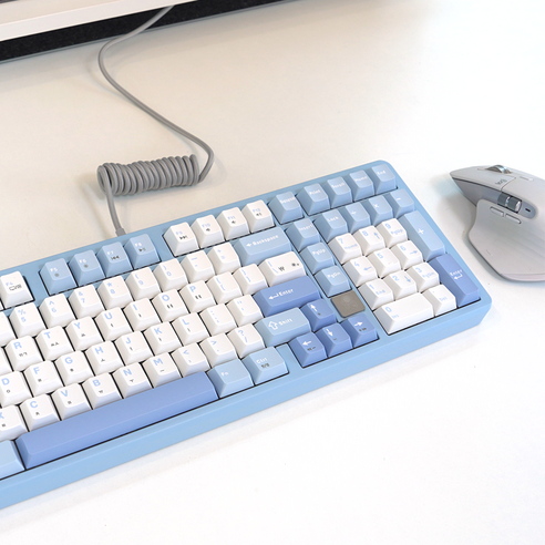 손끝에서 피어나는 예술, 레오보그 Hi98 기계식 키보드