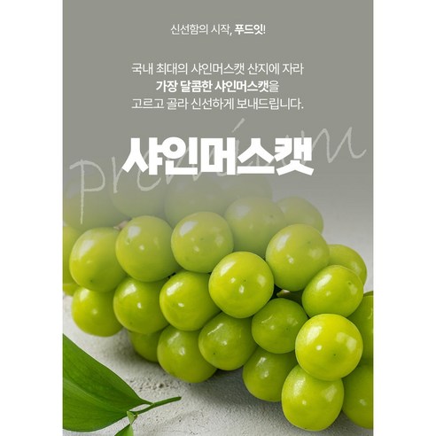ㄴ푸드잇ㄱ 싱그러운 달콤함! 국내산 망고포도 고당도 샤인머스캣, 1개, 샤인머스캣 2kg내외 4-5수