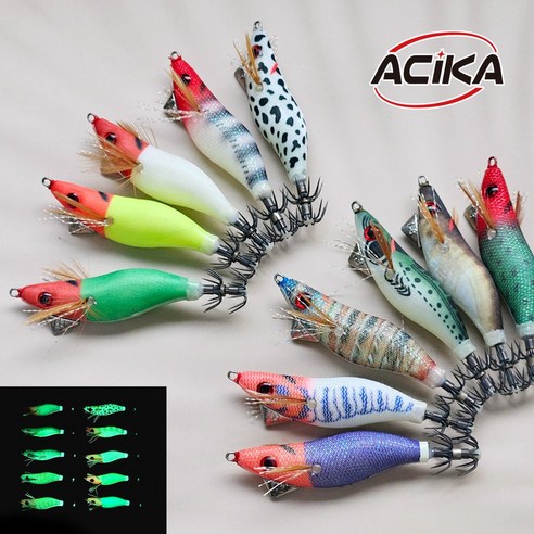 낚시 초보도 프로처럼! 아시카 스테이 미니 에기로 손쉽게 잡는 짜릿한 손맛 신수평에기