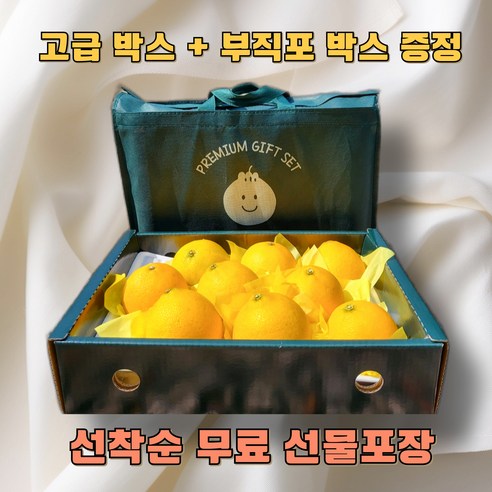 황금향 선물세트 14brix 제주 산지직송, 1개, (포장포함) 선물용 5kg 레드향