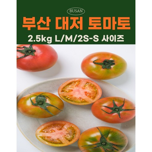 품질보증 고당도 부산 대저 짭짤한 토마토 2.5kg, 1개, L