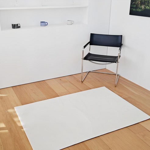 좁은 공간, 칙칙한 분위기? 천일카페트 데일리 러그로 해결! (경험담 기반) 소형러그