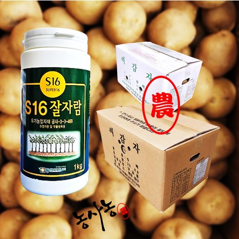 감자 소독약 씨감자 종자 S16 잘자람 분제1kg, 씨감자 소독약 + 타박 분감자 4kg Best Top5