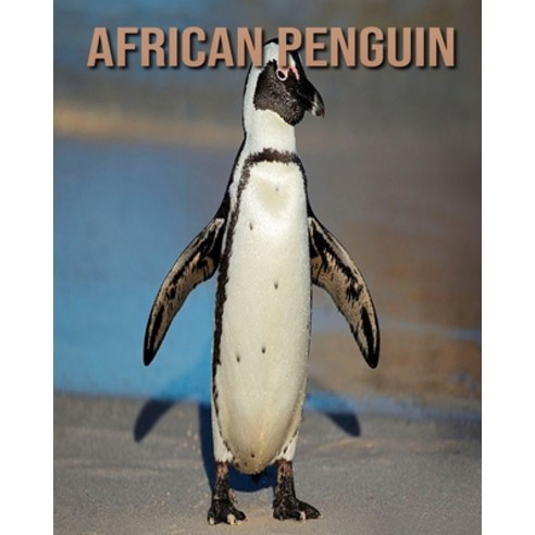 African Penguin: Beautiful Pictures & Interesting Facts Children Book About African penguin Paperback, Independently Published