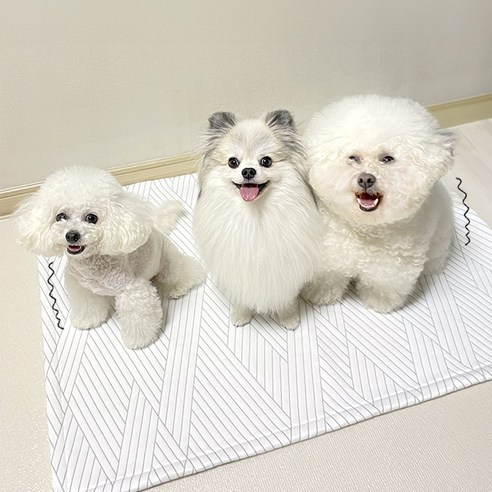 반려견의 시원함과 편안함을 위한 듀라론 강아지 쿨매트