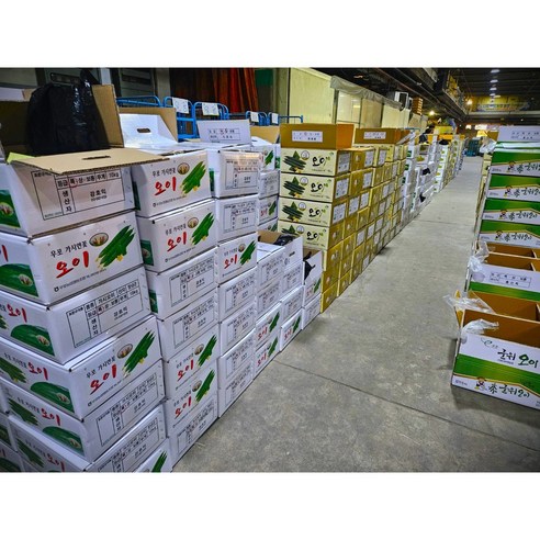 자연의 건강함을 담은 오일장상회 못난이 가시오이로 풍성한 밥상을!