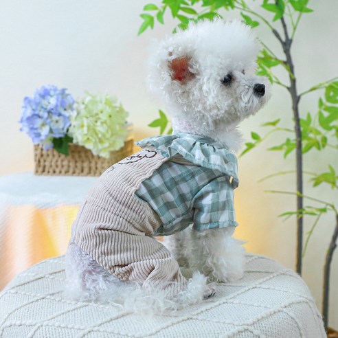 강아지 옷 애견 체크 카라 골지 멜빵 올인원, 그린, 1개