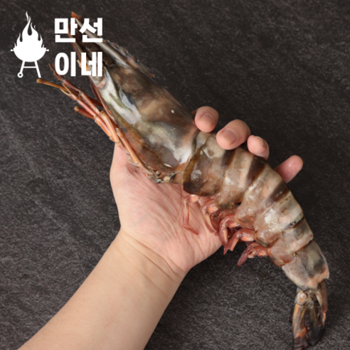 풍성한 육즙의 킹타이거새우 블랙타이거새우, 350g~400g(1마리), 1개 오도리 풍성한 육즙의 킹타이거새우 블랙타이거새우, 350g~400g(1마리), 1개 오도리