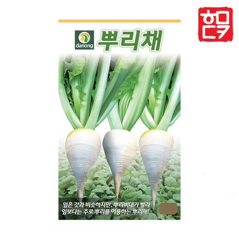 [다농] 뿌리채 씨앗 7g . 야채 채소 텃밭 파종 재배 주말 농장 씨 종자, 뿌리채 7g, 1개