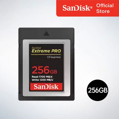 샌디스크 익스트림프로 CFexpress Card Type B 64GB