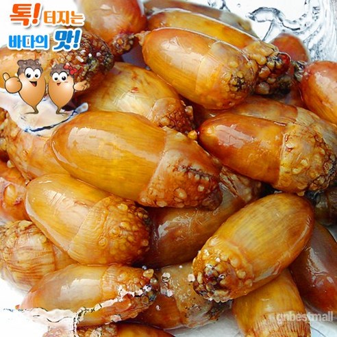 봄 바다의 싱그러움을 식탁으로, 고현미더덕마을 햇미더덕 이야기 미더덕회