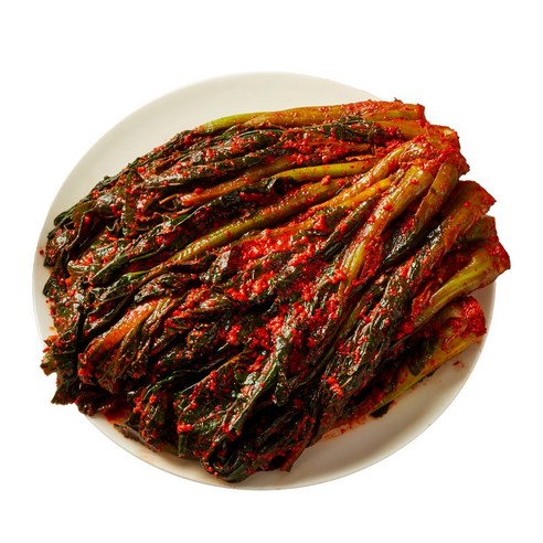 맛장군 오늘담근 갓김치