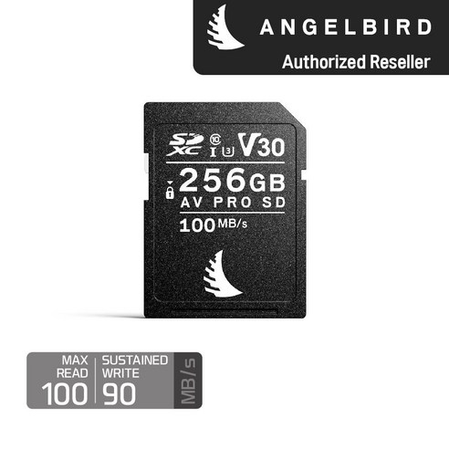 엔젤버드 AV PRO SD V30 256 GB