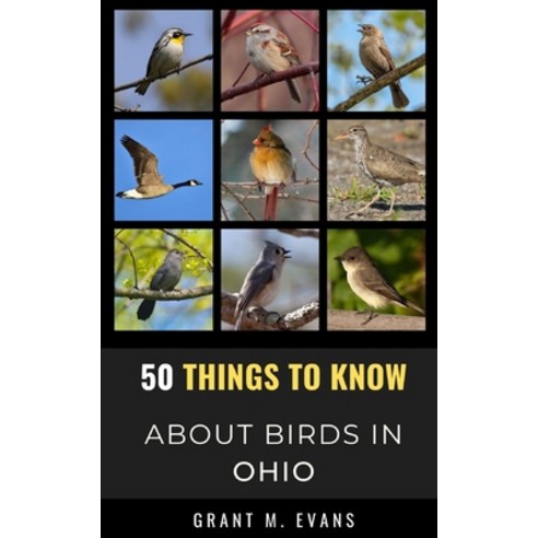 (영문도서) 50 Things to Know About Birds in Ohio: Birdwatching in the Buckeye State Paperback, Independently Published, English, 9798517925305