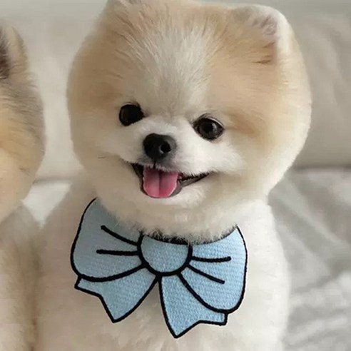 애완동물 애견 애묘 생일파티 리본 타이 빕 강아지 고양이 케이프 나비넥타이 사진 촬영 소품, 1개, 스카이블루M