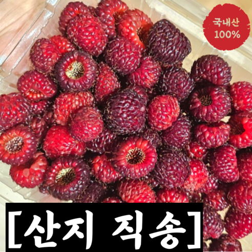 [산지직송] 고당도 톡톡터지는 햇산딸기 500g 1kg / 생산딸기 산딸기 산딸기생과 제철과일 청도산딸기 생산딸기 tksEkfrl 맛있는산딸기 산딸기냉동, 1개