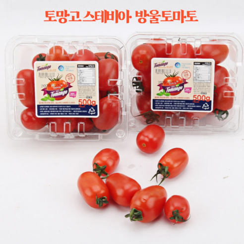 스테비아 토마토 토망고 방울토마토 500g, 1개