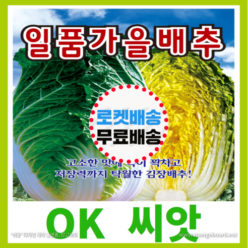 [OK씨앗] [일품가을배추] 김장배추씨앗(오케이씨앗), 1개