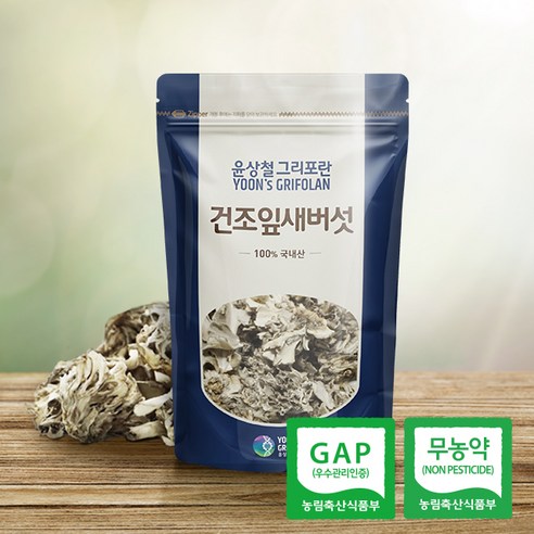 윤상철 친환경 건조잎새버섯 50 g 무농약 GAP 국내산 - 영양식 | 쿠팡