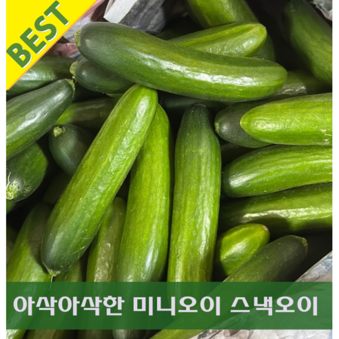 국내산 제철 못난이 미니오이 스낵오이 1kg 수분가득 산지직송 아삭미니오이 다이어트 샐러드 피클용, 1개