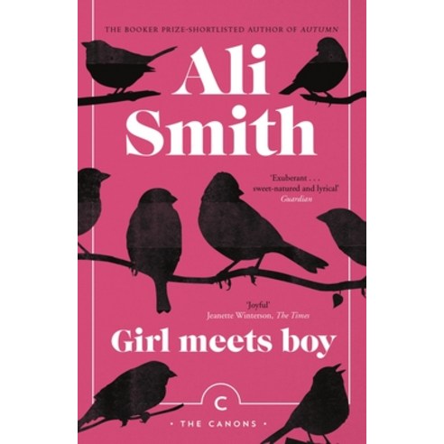 (영문도서) Girl Meets Boy Paperback, Canongate Books, English, 9781786892478