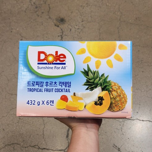 Dole 트로피칼 후르츠 과일 칵테일, 432g, 6개