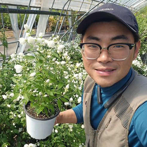 우리 집 정원에 찾아온 첫사랑, 스노우벨 겹고광나무 이야기 고광나무