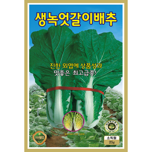 열무 배추 무 씨앗 모음 종자, 2개