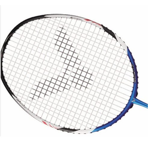 탁월한 배드민턴 선택