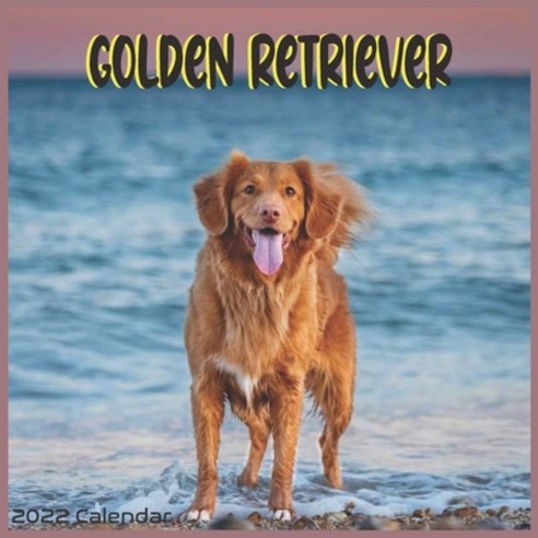 Golden Retriever Calendar 2022: Official Golden Retriever Dog Calendar 2022 16 Months Paperback, Independently Published, English, 9798743573936