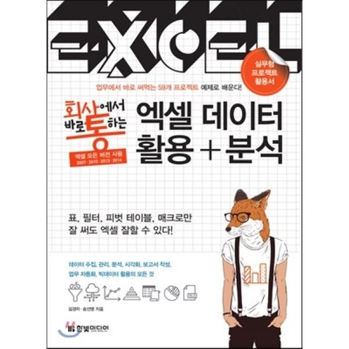 회사에서 바로 통하는 엑셀 데이터 활용+분석 : 59개 프로젝트 예제로 배우는 실무형 프로젝트 활용서, 한빛미디어