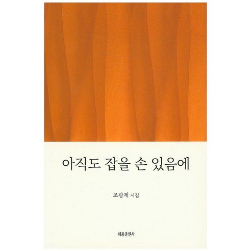 아직도 잡은 손 있음에:조광제 시집, 세종출판사