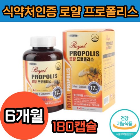 프로폴리스 천연 항생제