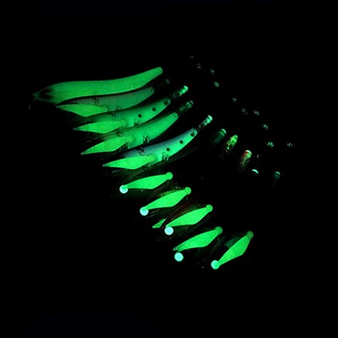 엔초비 에기: 바다의 유혹자를 만나다