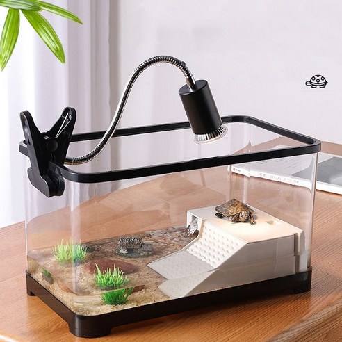 코코실리 거북이 어항: 작은 생명을 위한 드넓은 낙원 거북이키우기