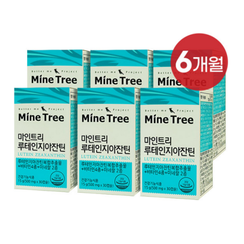 마인트리 루테인지아잔틴 6박스 (눈영양제/눈건강), 250ml, 6개